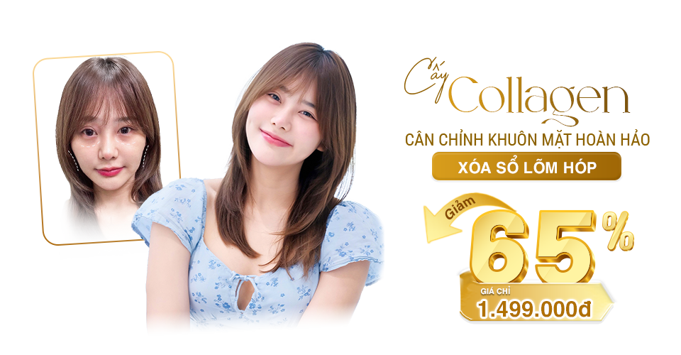 ha collagen